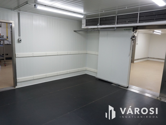 Ausztria határától mindössze 7 km-re korszerű telephely!