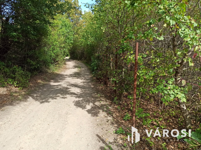 Nyaralónak tökéletes választás Dunabogdányban!