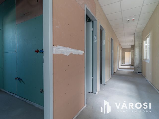 Új építésű ipari ingatlan Dabason kiadó