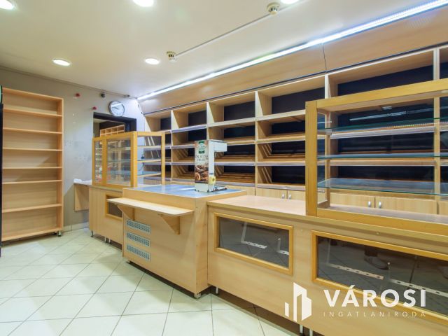 Családi ház és üzleti ingatlan egyben eladó Pátyon !