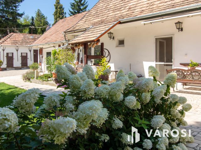 „Vállalkozása és családi háza egy helyen Bajnán.”