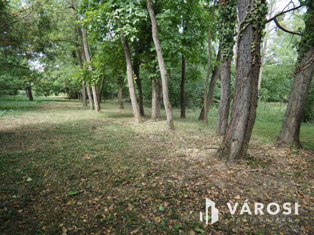 Cserfői hegyen lakható hétvégi ház