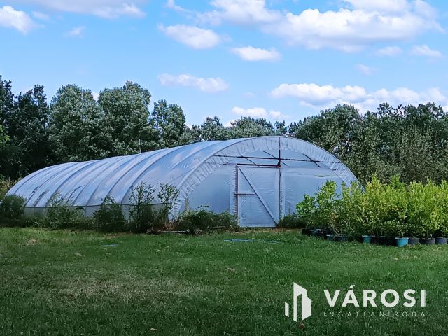 Debreceni 7,5 hektáros tanyagazdaság, csodás környezetben!!!