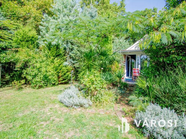 Gosztolában, beleszeretős ház új szerelmét várja!