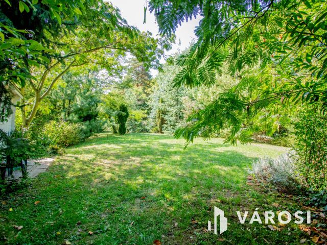 Gosztolában, beleszeretős ház új szerelmét várja!