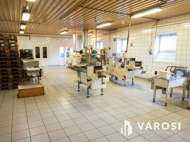 Élelmiszer feldolgozó ár alatt eladó!