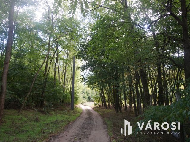 Budapesttől 16 km-re erdei környezetben tanya eladó