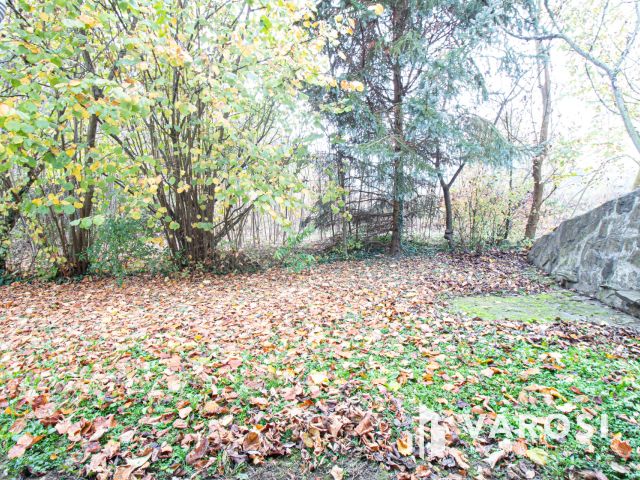 Több mint nyaraló...