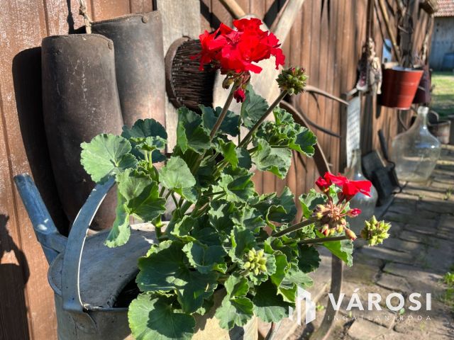 Debrecen-Apafán, Madárdalos Önellátó Kis Birtok Eladó!