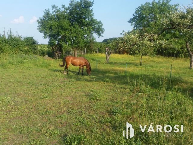 Debrecen-Apafán, Madárdalos Önellátó Kis Birtok Eladó!