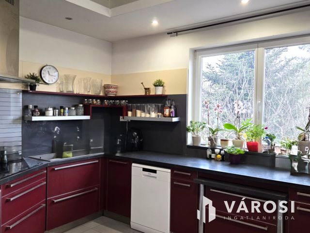 Madárcsicsergős otthon nagy kerttel – ház Debrecen határán