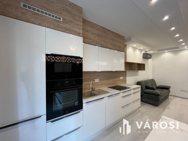 Debrecen Belvárosi 3 Szoba Nappalis Új Lakás Kiadó!