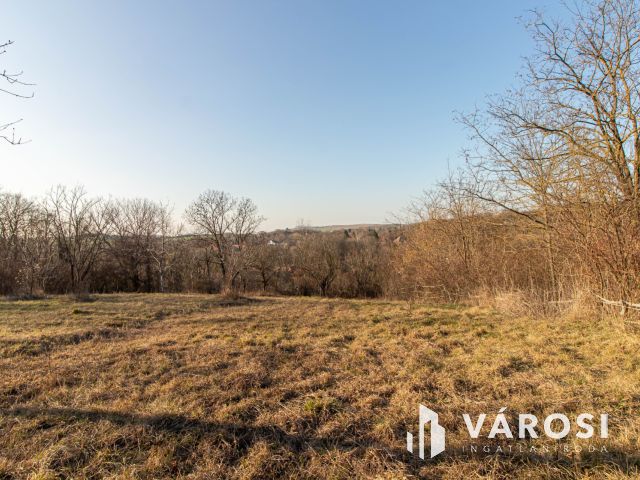 Panorámás zártkerti telek háromszintes kis házzal Tinnyén