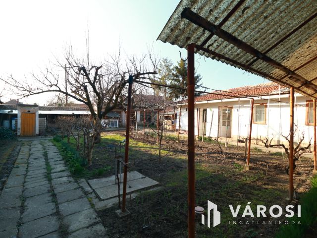 Kis családi fészek