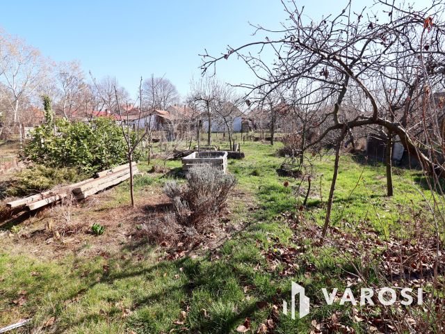 Felújítandó parasztház