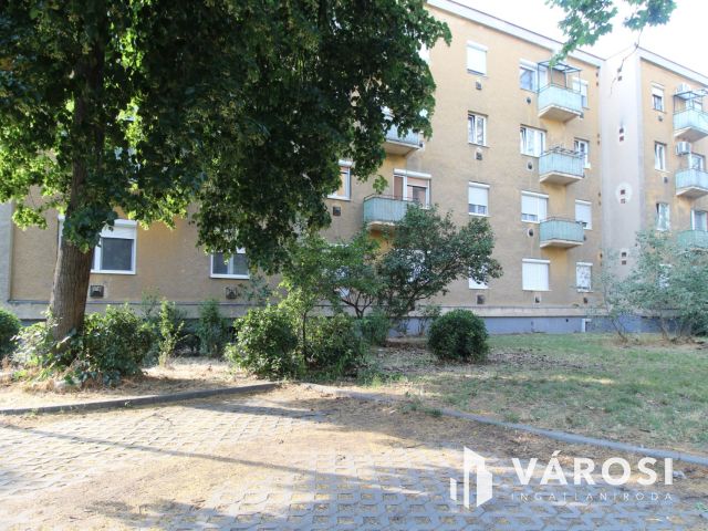 Zöldövezeti nyugalom Csillagtelep központjában